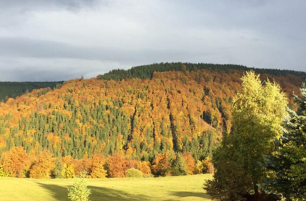 Ferienwohnungen Gehlberg ภายนอก รูปภาพ