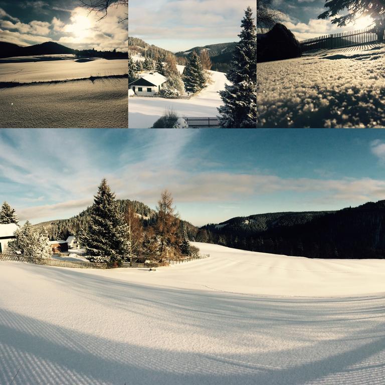 Ferienwohnungen Gehlberg ภายนอก รูปภาพ